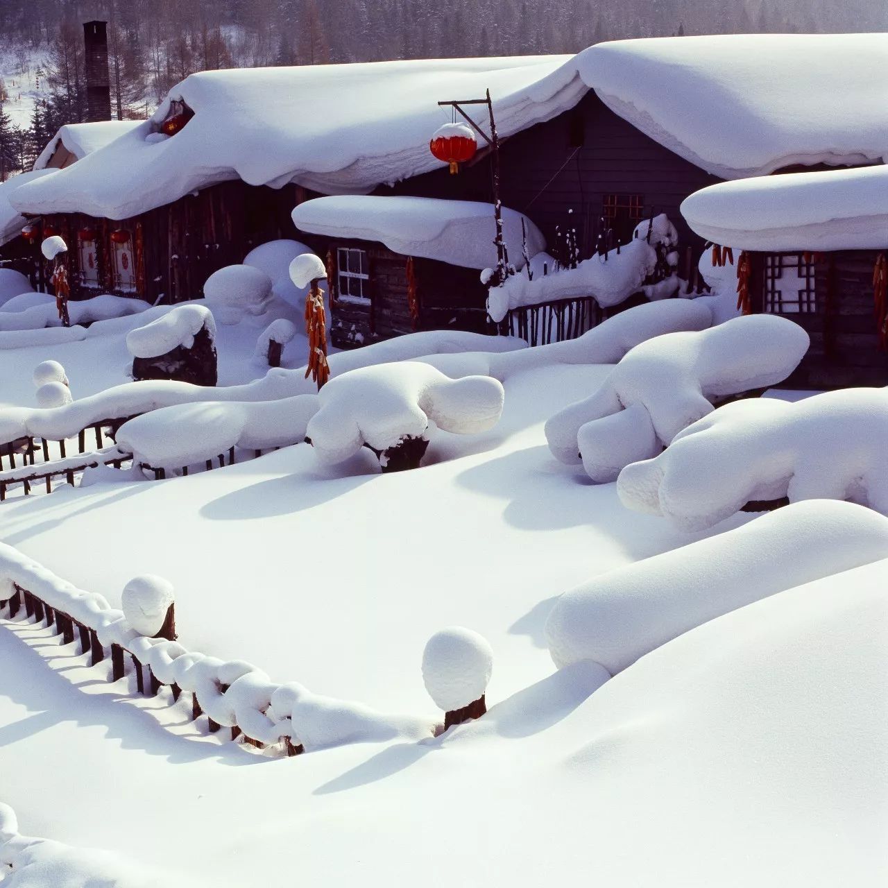 1.12-14日【雪鄉】火車團 坐著火車去看雪 邂逅雪鄉的100種美