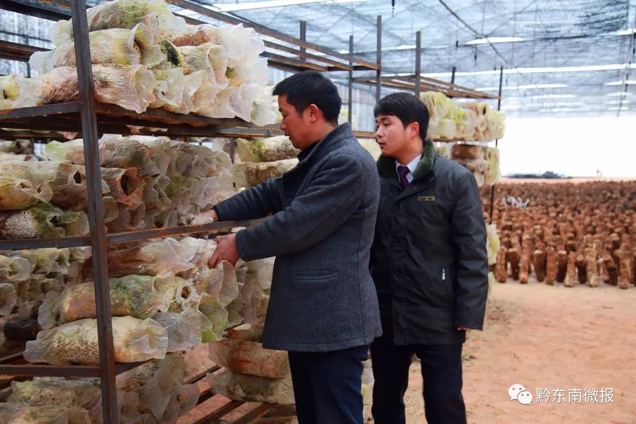 大力宣傳勤勞脫貧致富的群眾典型,幫扶工作先進事蹟,適時曝光反面典型