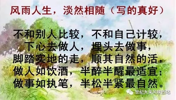 淡然相随图片