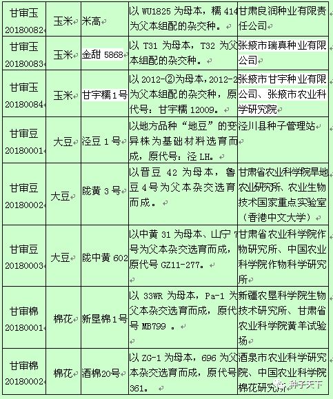 铁研919玉米种子审定号图片