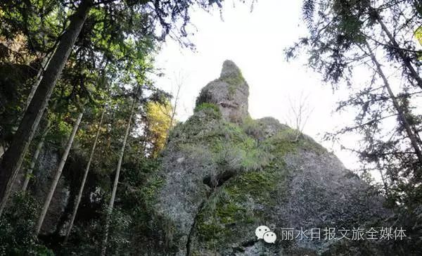 的涼風,清脆的鳥鳴,婆娑的樹影……紅軍洞在巨溪鄉境內的三巖寺景區