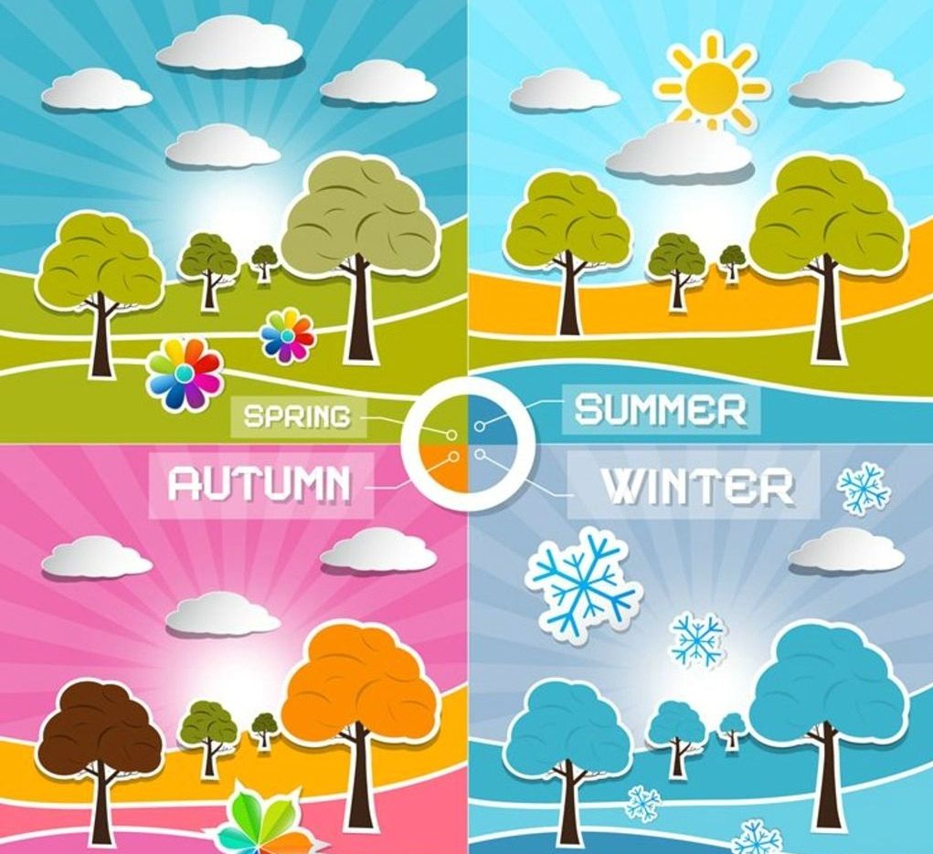 羊羊媽每日英語:there are four seasons in a year.