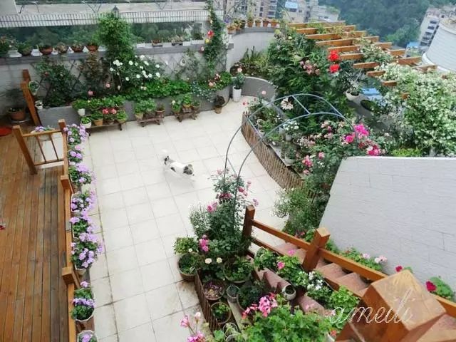 这就是我想要的楼顶花园,闲时种花种菜折腾不止!