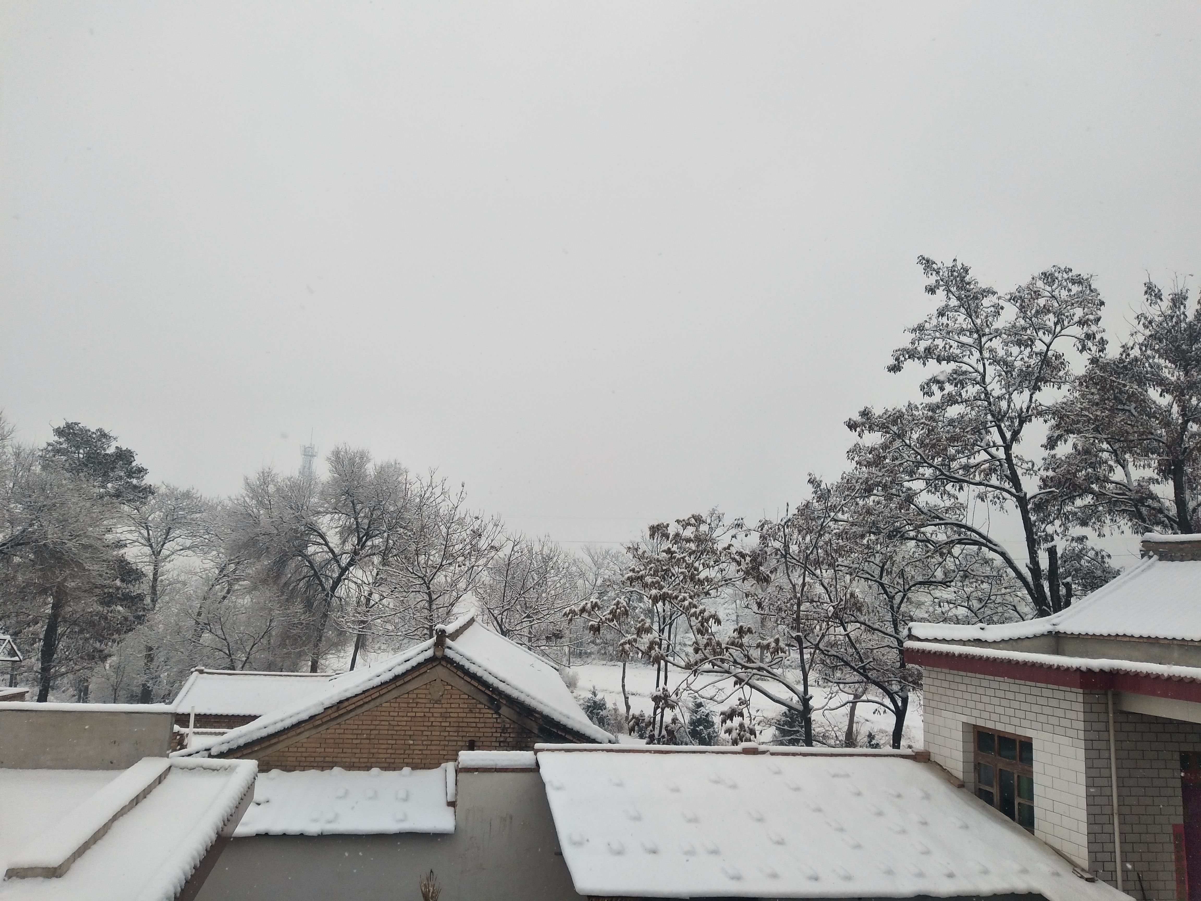 农村自然雪景图图片