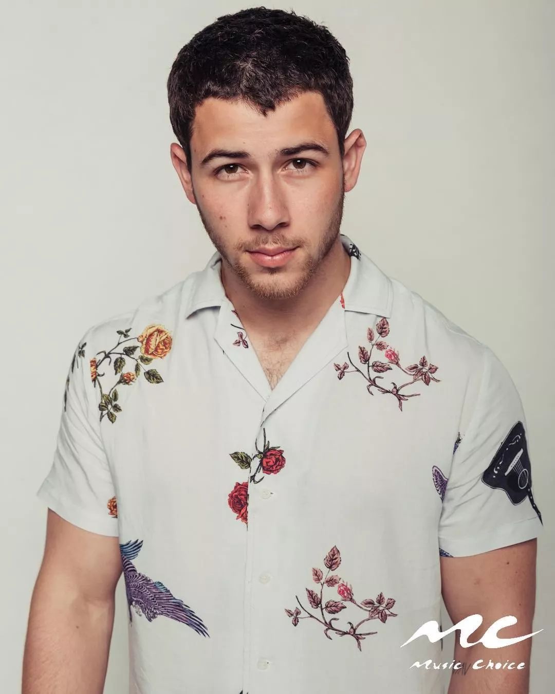 nickjonas鸟图片