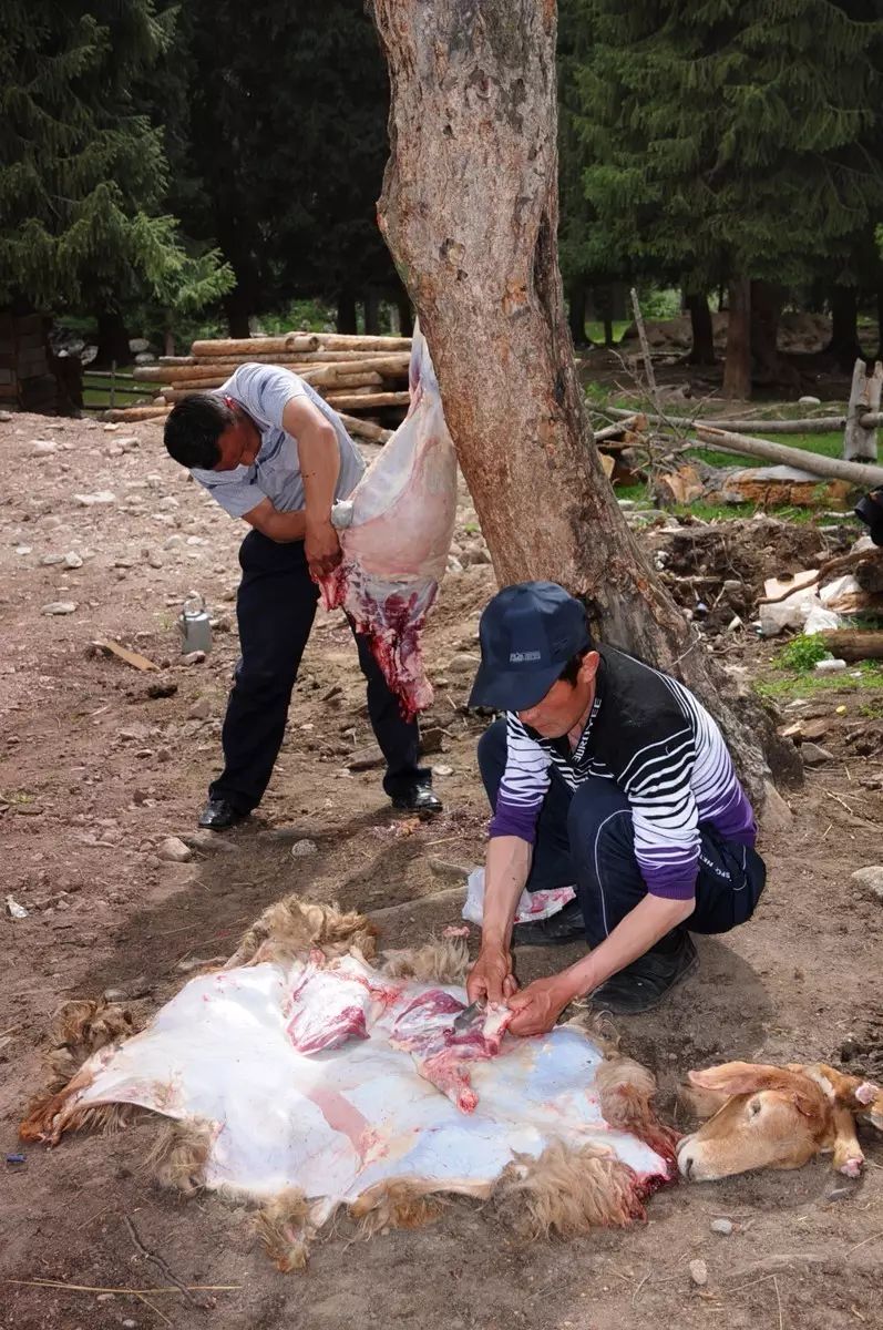 味道最棒的烤肉串瓊庫什台山莊殺羊烤肉暴露吃貨本色