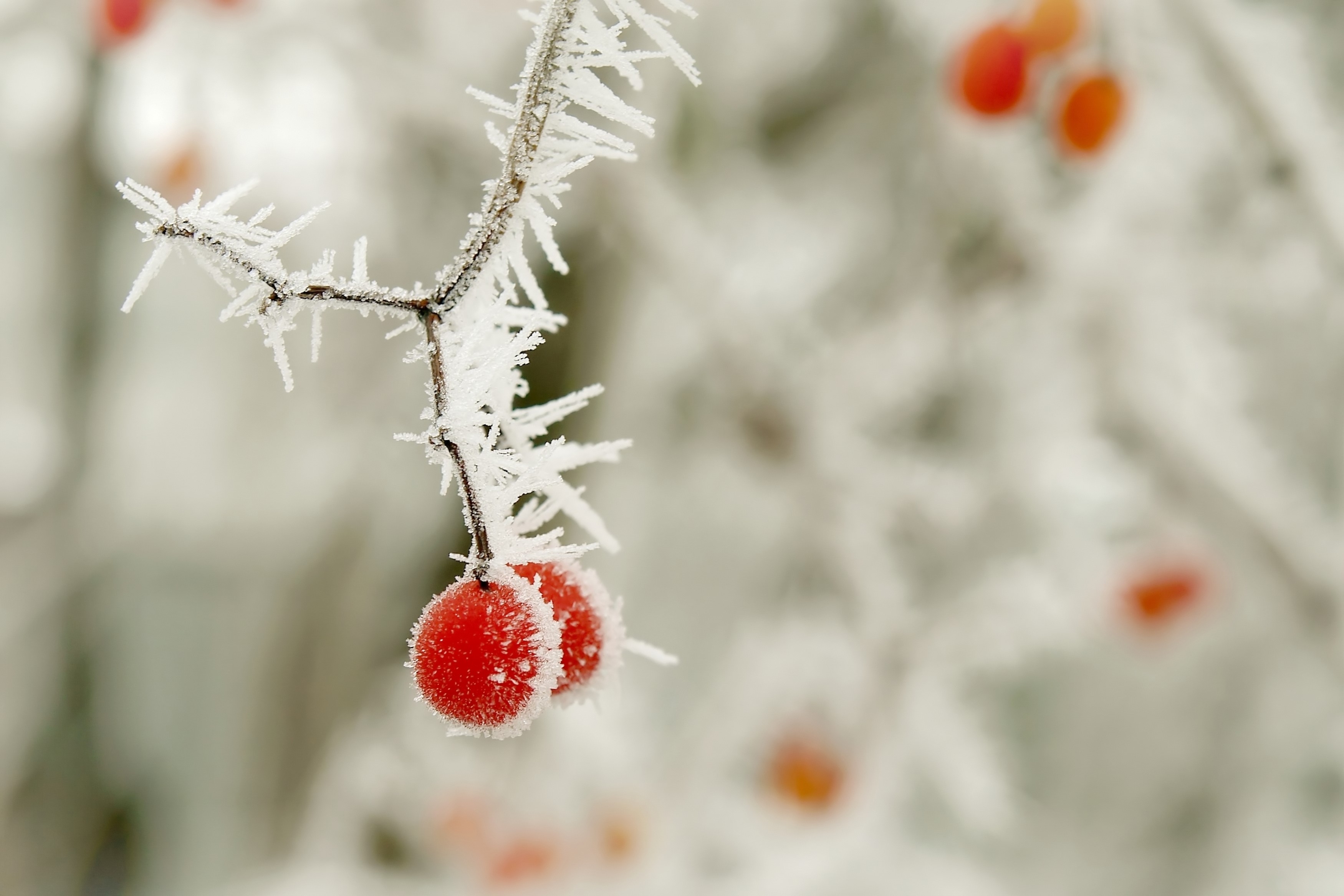 立冬时节的慢性咽炎立冬,是二十四节气中的第十九个,也是冬天的开始