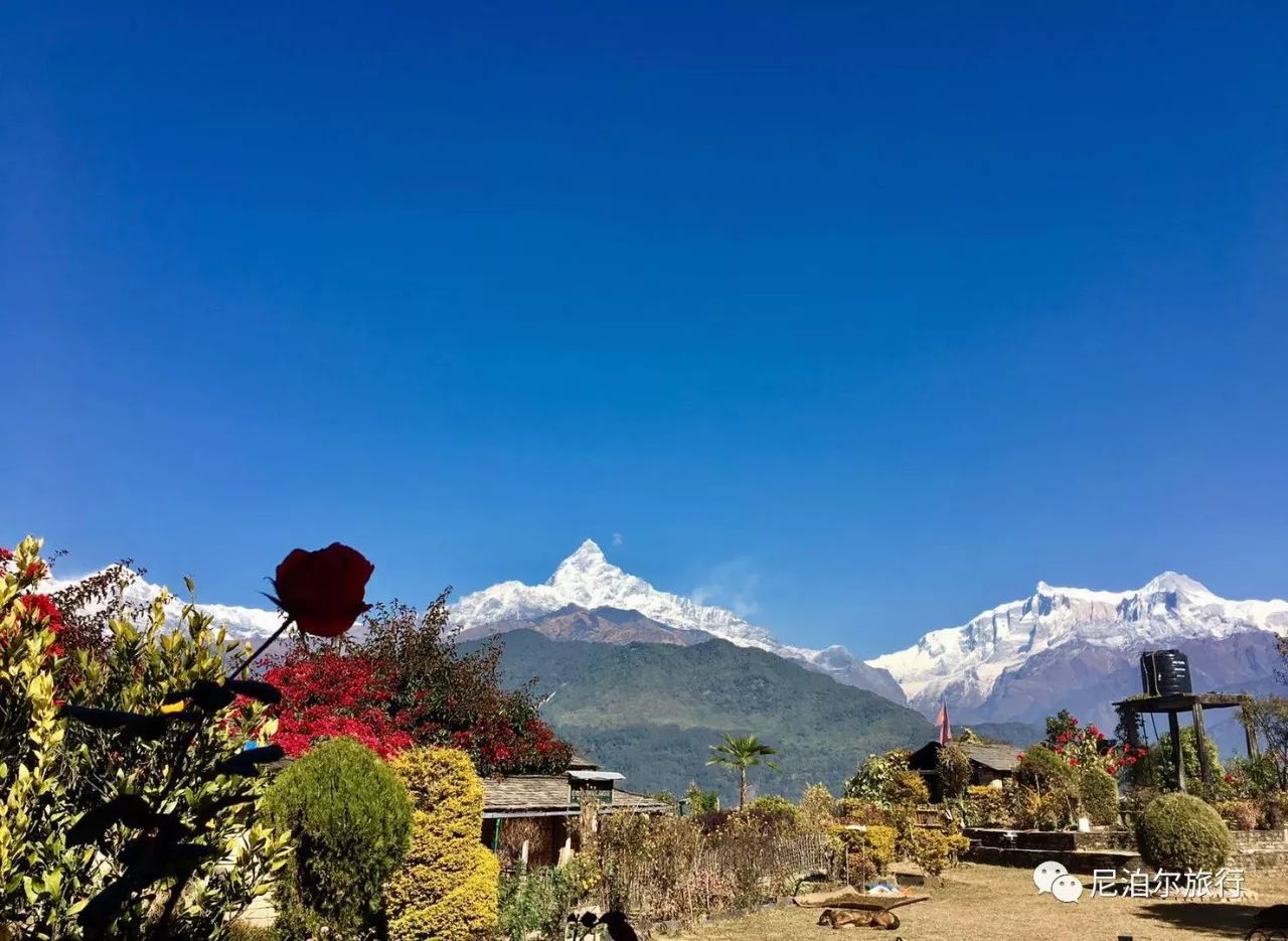 如果你來尼泊爾,千萬不要錯過雪山小村