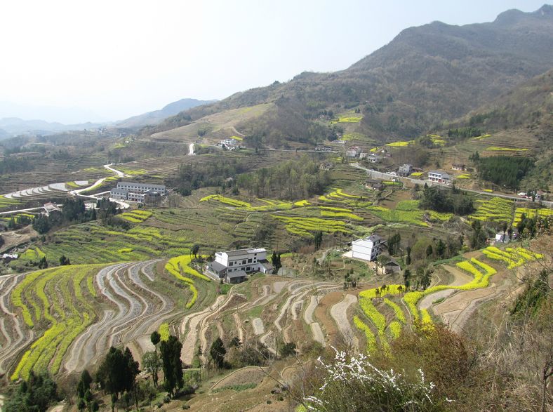 漢陰鳳堰古梯田 |他山之石