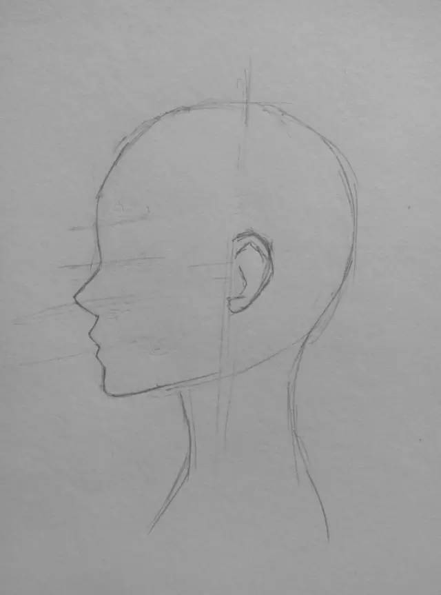 6:用平滑的线条画出人物侧面眼窝,鼻子和嘴巴的凹凸,并画出耳朵的形状
