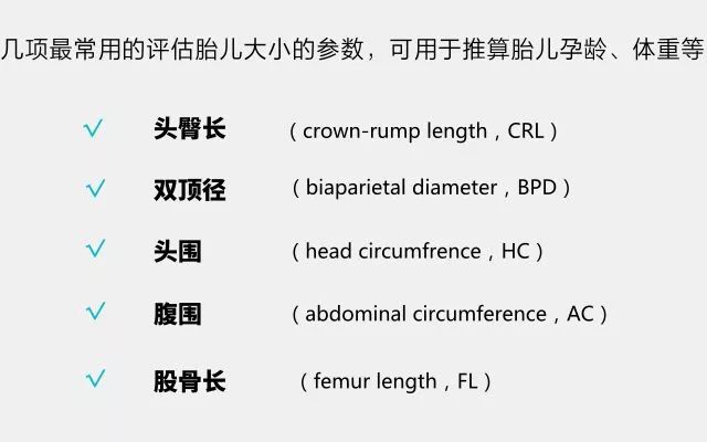 主要用於急診超聲或床邊超聲,只檢查臨床醫師要求瞭解的某一具體問題