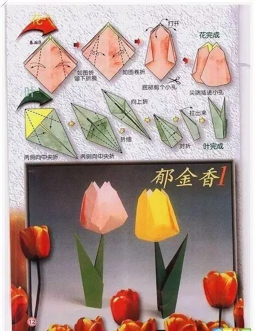 手工折郁金香花的折法图片