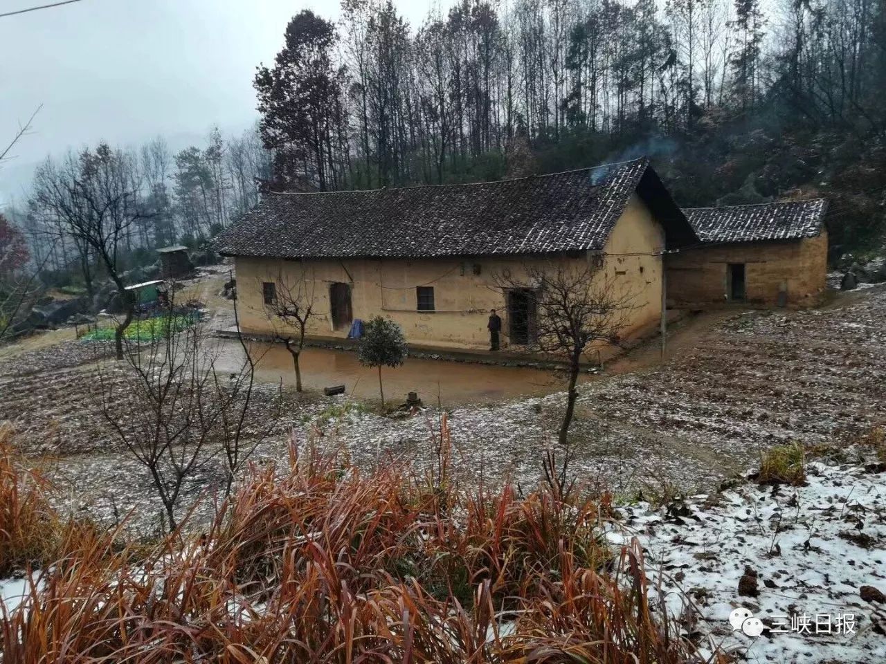 哆來咪/攝五峰牛莊鄉雪景.趙陸萬/攝遠安太平頂雪景.