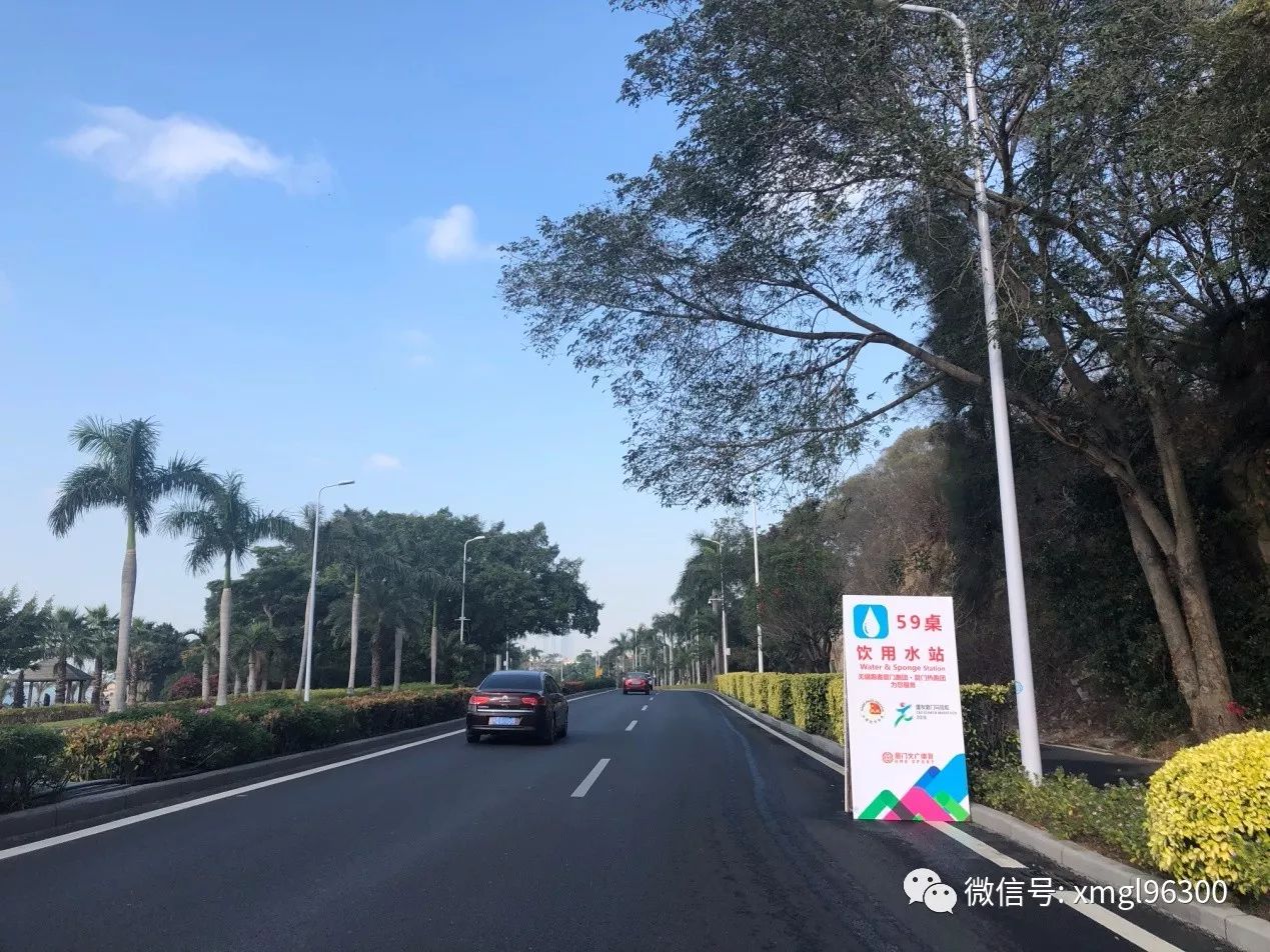 与环岛路沿线绿化提升代建单位沟通,共同加强沿线绿化养护及绿化缺损