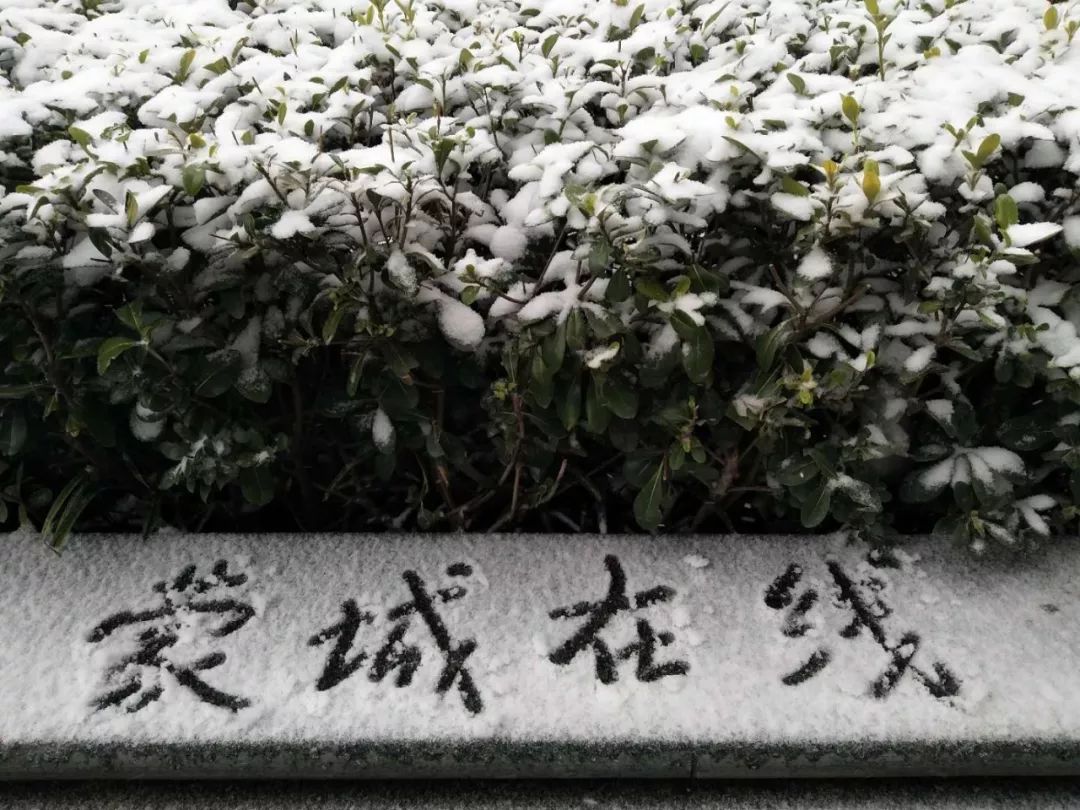 紧急扩散今日暴雪将袭击蒙城恐超历史同期极值