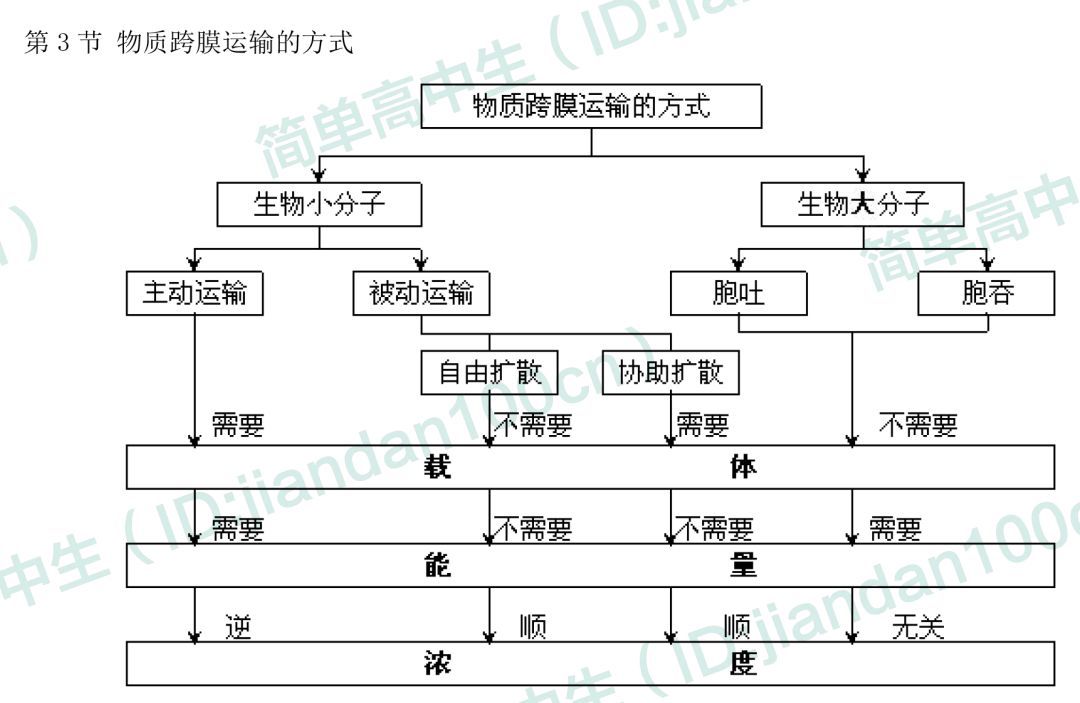 本章核心概念主要:酶,atp,細胞呼吸,有氧呼吸,無氧呼吸,光合作用,光