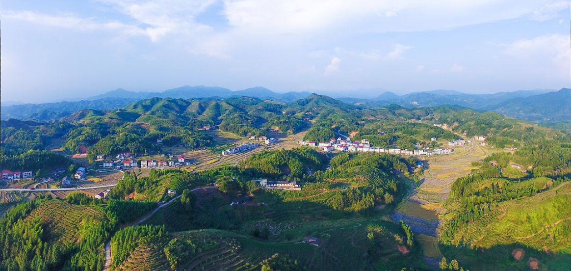 管前镇鸭墓村图片