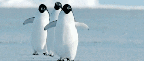小企鹅跑步的动图图片