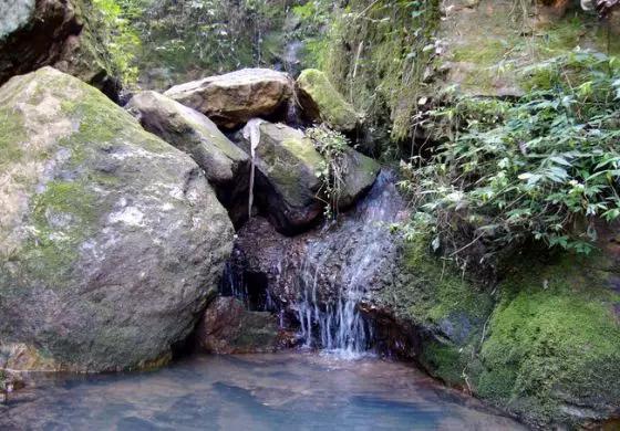 青田八面湖图片