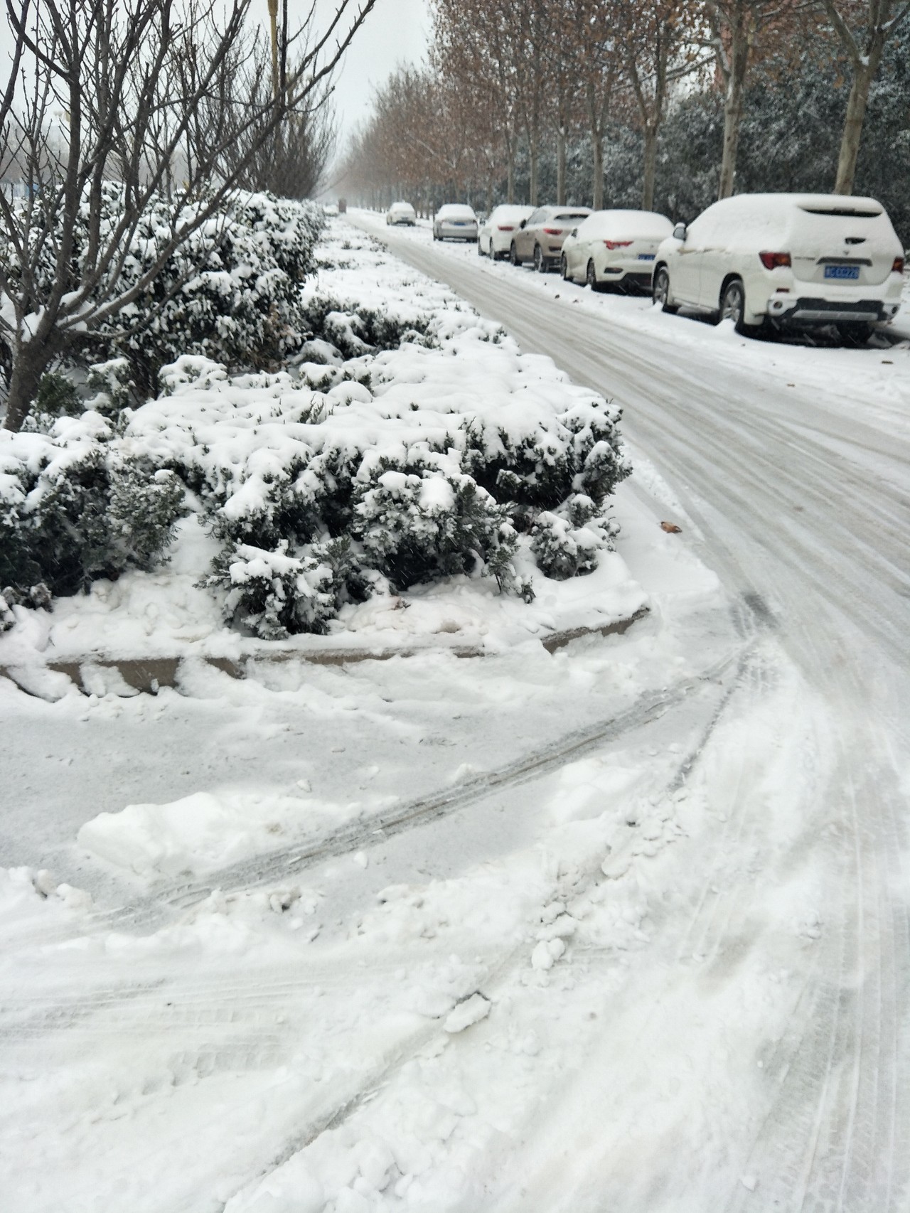 下雪了!今天許昌迎來2018年首場大雪!