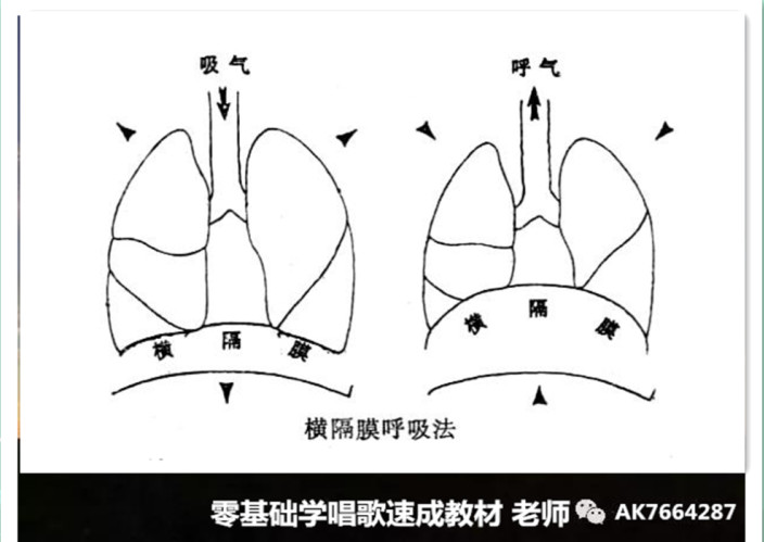 唱歌时气息走向图图片