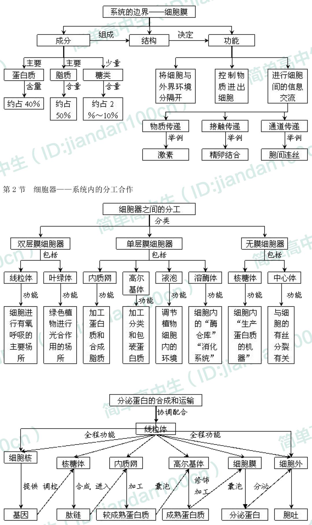 三,各節子概念圖二,本章總概念圖次要:健那綠,細胞器膜染色質,核仁