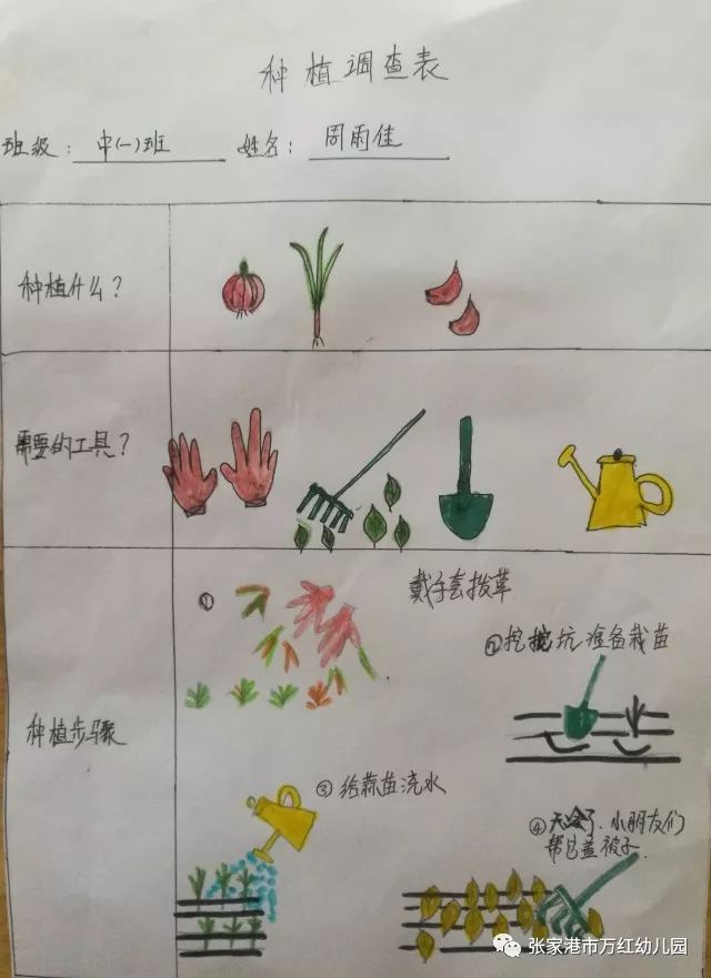 蔬菜种植过程简笔画图片