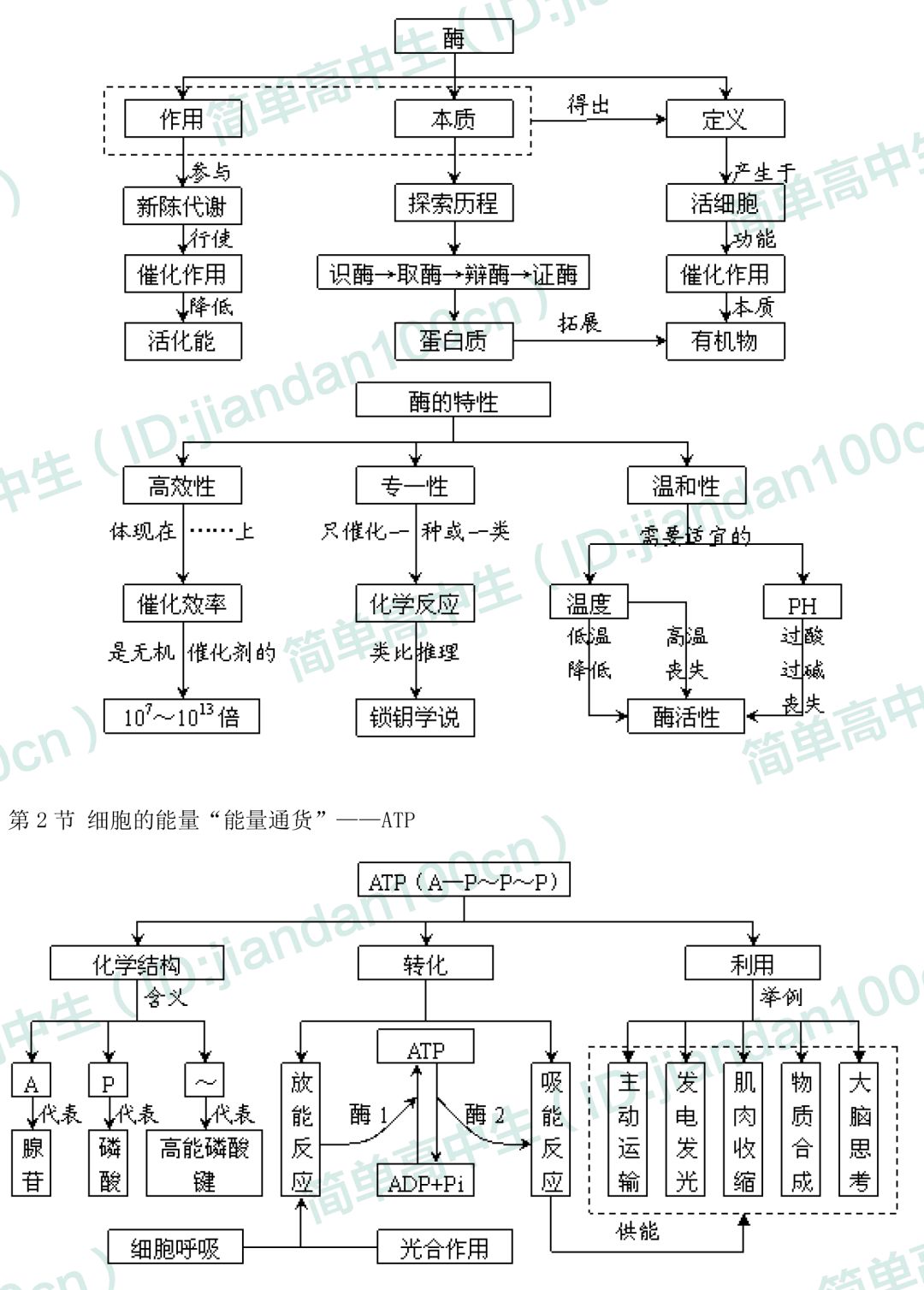 高中生物必修一概念图汇总,敢说你不需要吗?