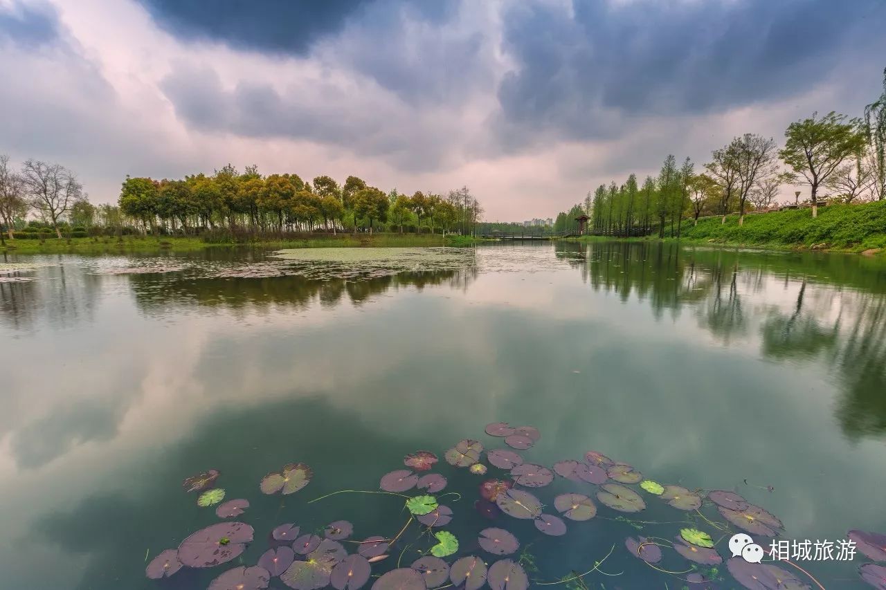 虎丘溼地公園是蘇州