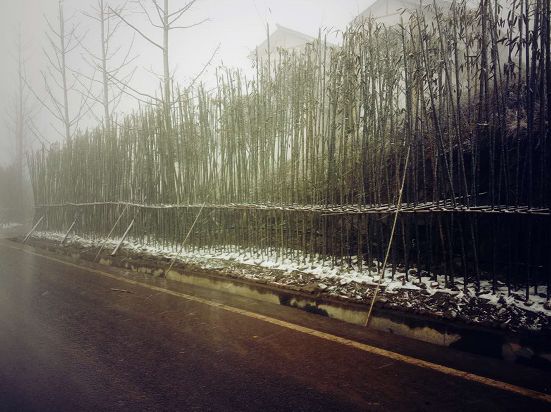 雪!雪!巴中多地降下2018年的第一场雪!