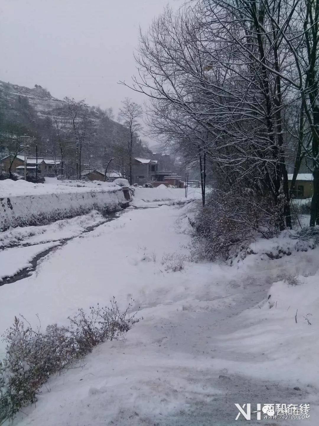 【多圖】看了兩天城裡雪景,現在看看鄉村雪景.