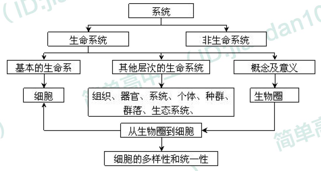 原核生物,真核生物,擬核,細胞核,細胞膜,細胞質主要概念:細胞,組織