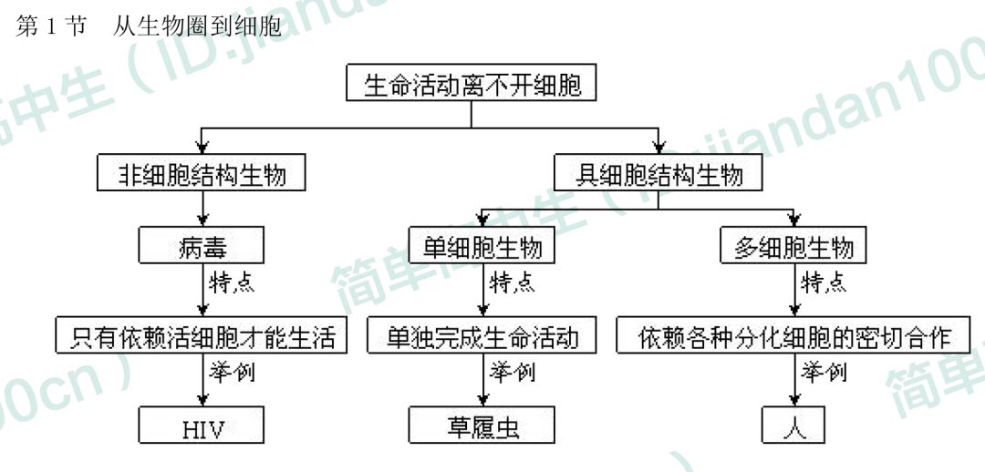 三,各節子概念圖二,本章總概念圖次要概念:原核生物,真核生物,擬核