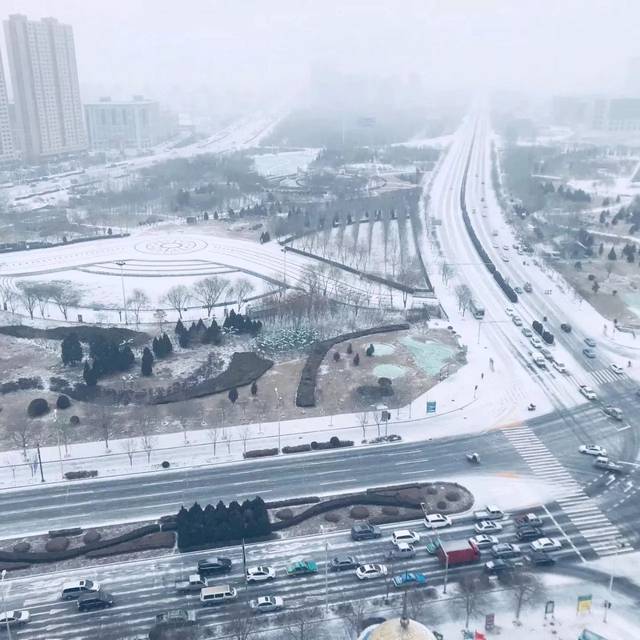 14 降温 下雪!2018年银川的第一场雪太美了!