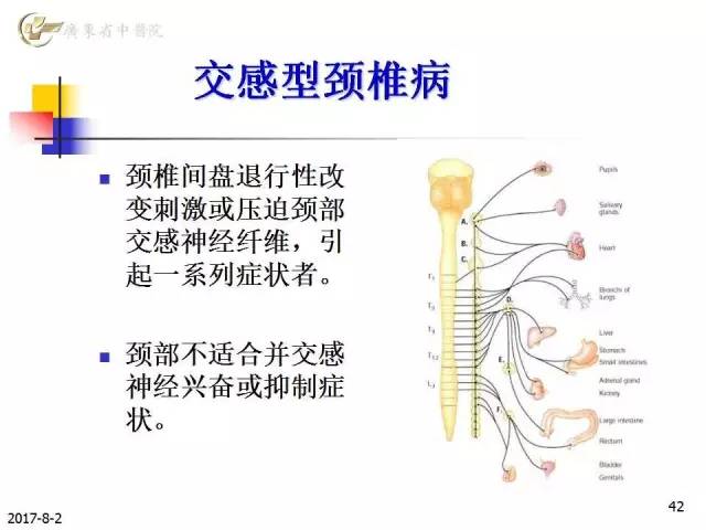 颈椎病的分型与治疗要点