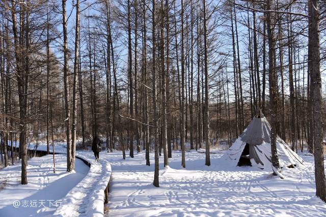 中國最冷的地方不在北極村漠河而是在根河冷極村