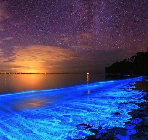 马尔代夫荧光海滩是怎么形成的,在哪里可以看到