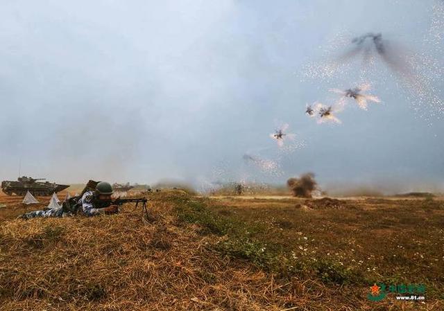 海軍陸戰隊山地紅藍對抗演練 步坦協同攻堅