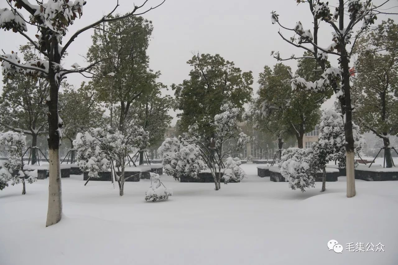 毛集的小伙伴们,家乡2018年这场雪下得有点大,一定要注意安全!