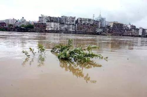 2 历史罕见特大洪水 对许多中国人来说 1998年的那场特大洪水是刻骨