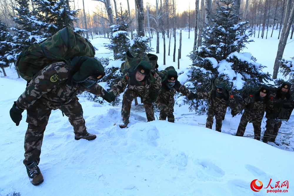 新疆森林武警图片