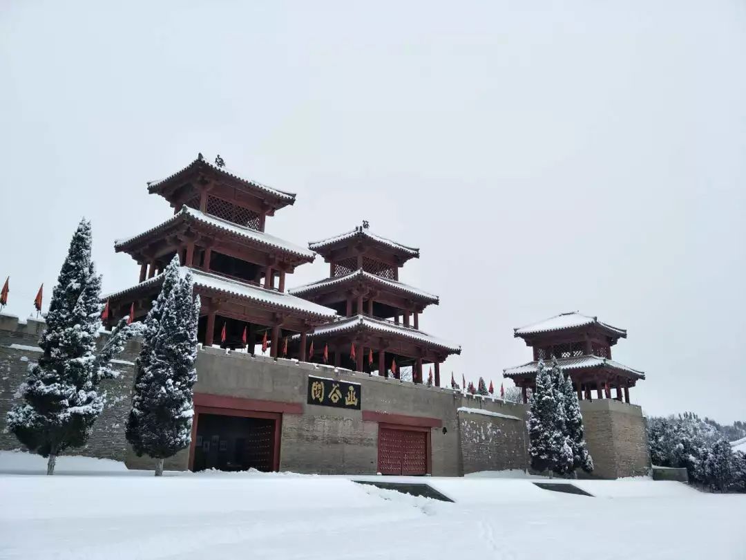 今天的靈寶美翻了!各地高清雪景 視頻搶先看!