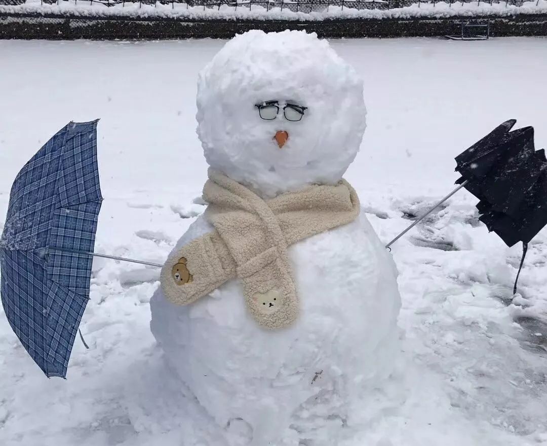 雪人界的表情包这个世界欠你一个网红迷你雪人,一路向北最有文艺范儿