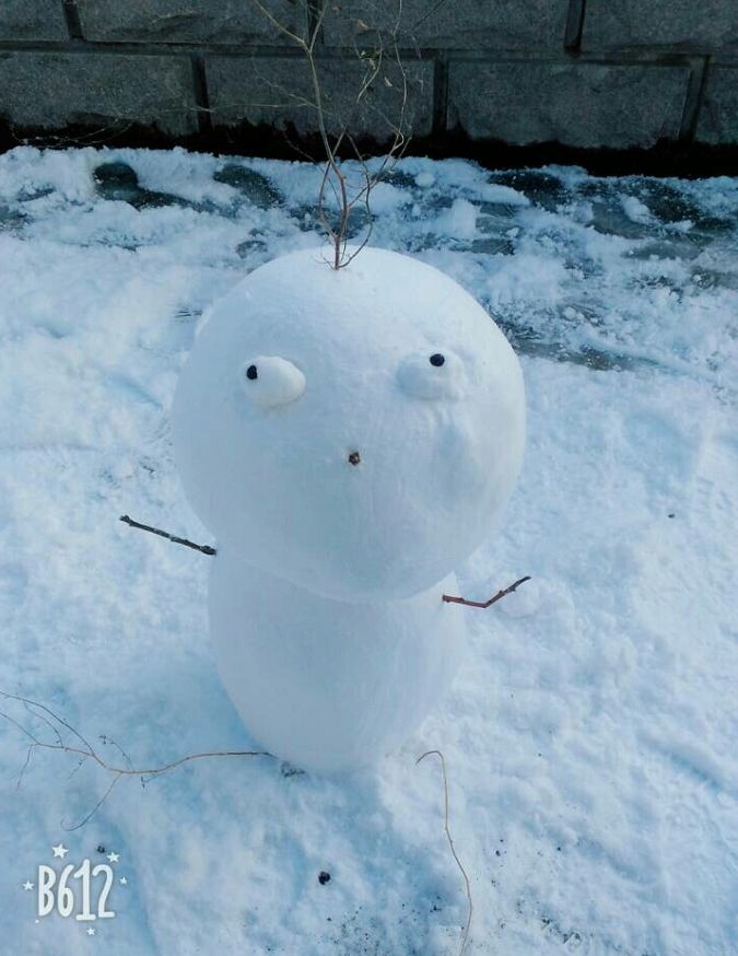 看完网友们堆的奇葩雪人,我笑得直不起腰