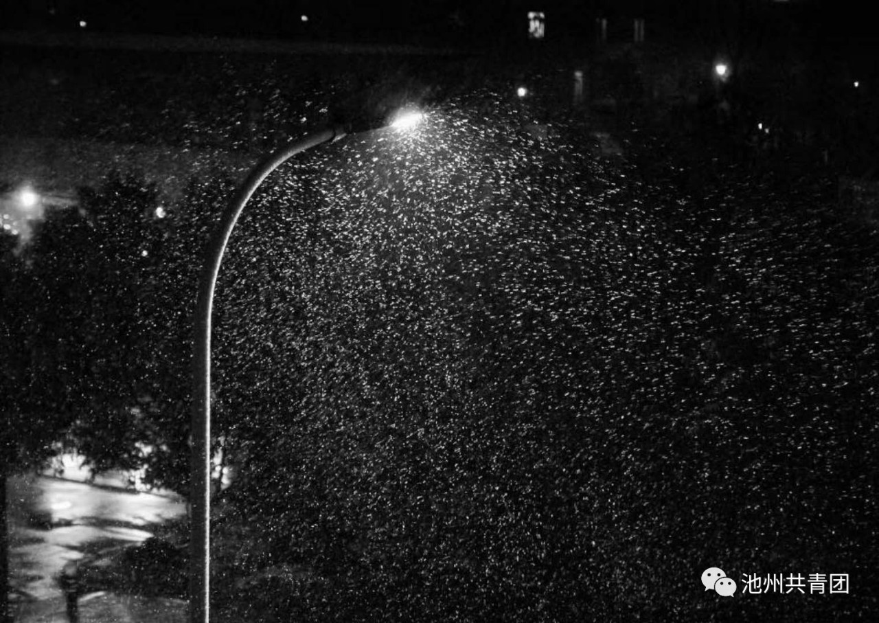 冰雨图片 壁纸图片