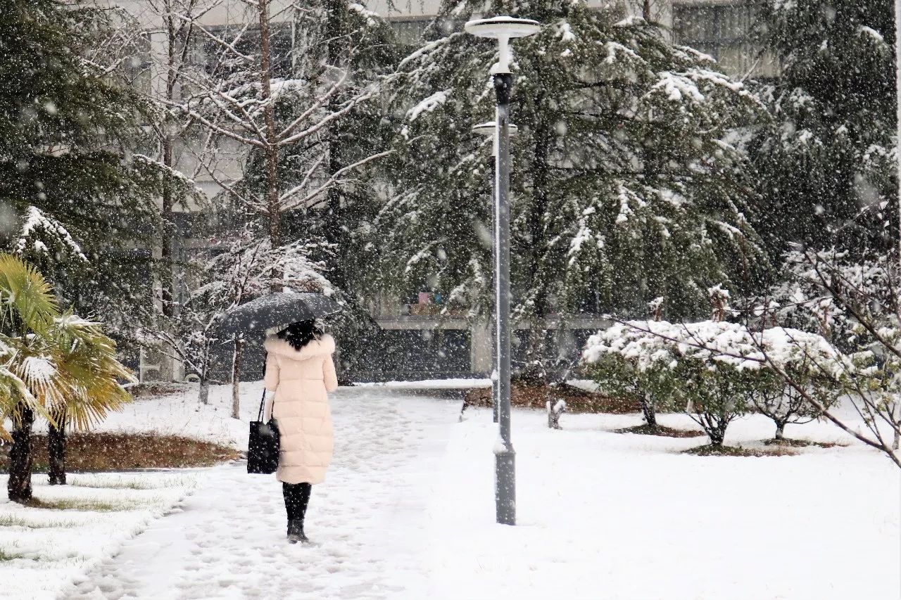 初雪日记 南京晓庄雪院