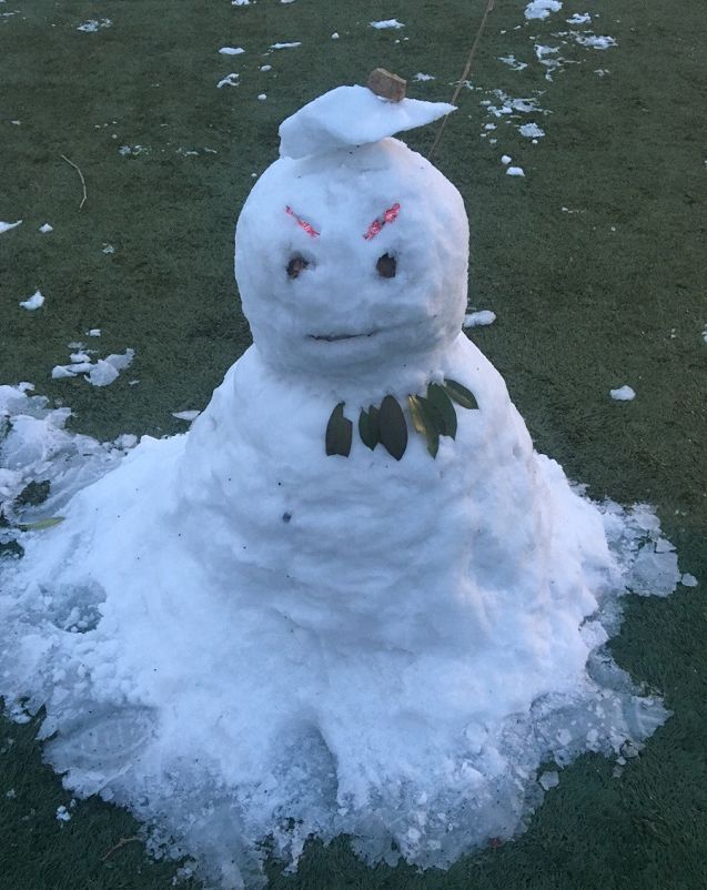 看完网友们堆的奇葩雪人,我笑得直不起腰