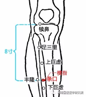 膝关节炎多发性神经炎下肢瘫痪可以多按摩条口穴试试