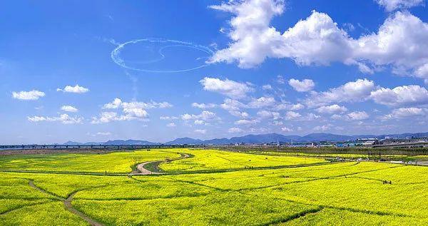 積極響應十九大三農政策凝繪近善農業生態藍圖