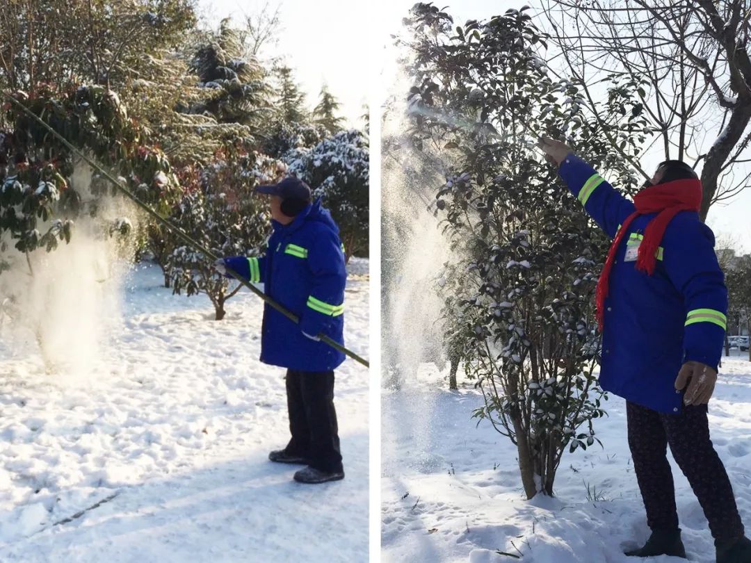 树基部堆积积雪保持温度和湿度大雪过后,在树基部堆积积雪,以保持基部